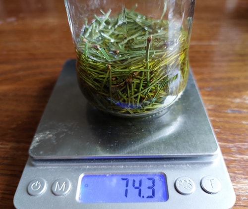 Pine Needle Infused Oil for Rheumatism and Arthritis-cover with oil