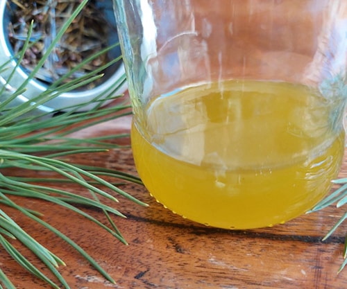 Pine Needle Scotch