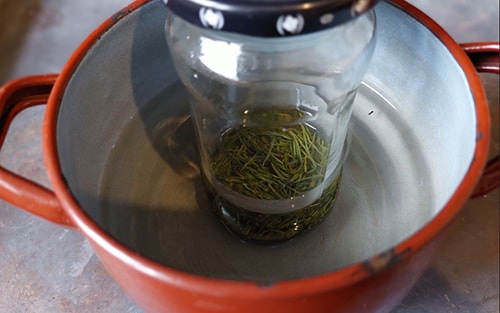 Pine Needle Infused Oil for Rheumatism and Arthritis-sit the jar in warm water
