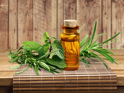 Why You Should Add This Essential Oil To Your Herbal Toolkit - tea tree oils