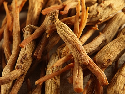3 Plants That Help You Lose Weight While You Sleep-Ginseng