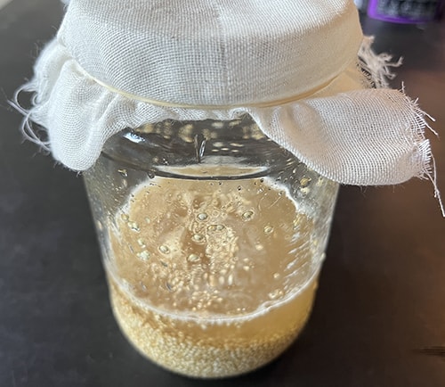 how to make rejuvelac for leaky gut -drain the water using a cheesecloth