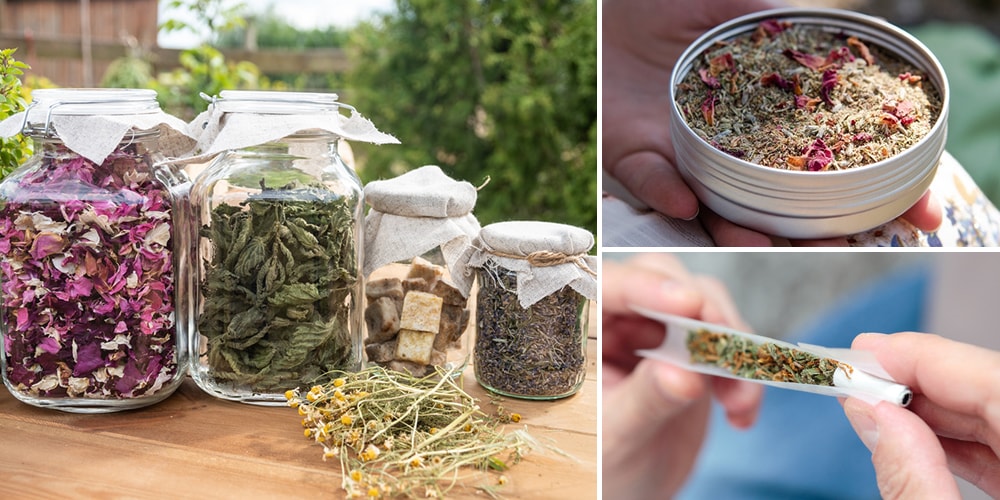 12 Smokable Herbs + Creating Your Own Blend – Euphoric Herbals