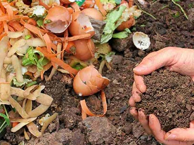 Don’t Throw Away Potato Peels, Do This Instead!- compost