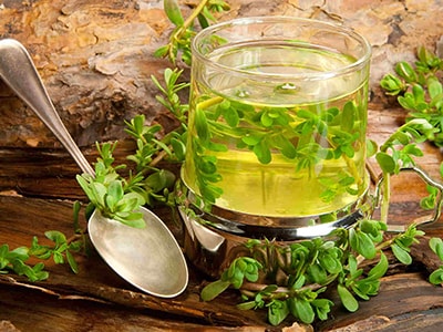 Fight Brain Fog With These Herbs - bacopa