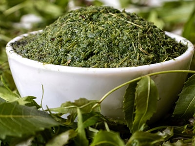 The Most Effective Antifungal Herbs and Spices- neem