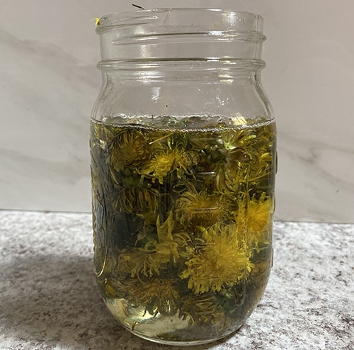 add dandelions to oil