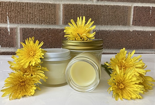 Healing Dandelion Salve for Sore Joints -finished salve