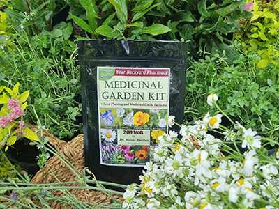 Grow Your Own Medicinal Garden