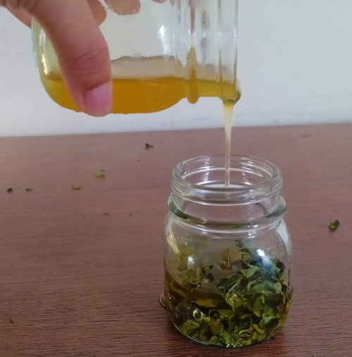 Moringa Honey - put moringa in the jar and pour honey
