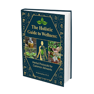The Holistic Guide to Wellness: Herbal Protocols for Common Ailments