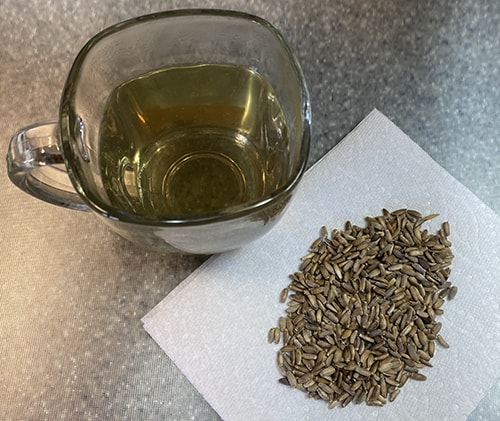 The Plant that Doesn’t Get the Respect it Deserves - milk thistle tea finished