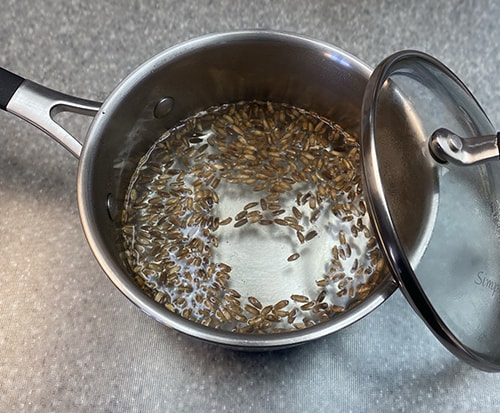 The Plant that Doesn’t Get the Respect it Deserves -steeping milk thistle seeds