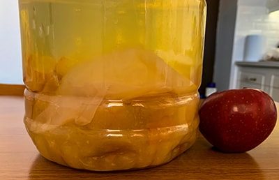 Why You Should Start Drinking ACV Before Every Meal apple cider vinegar mother