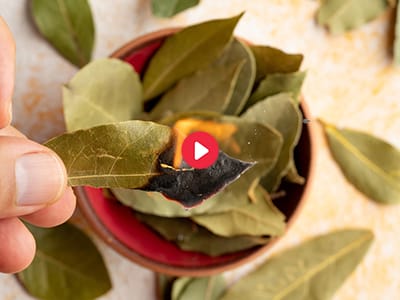 What Happens If You Burn Bay Leaves?