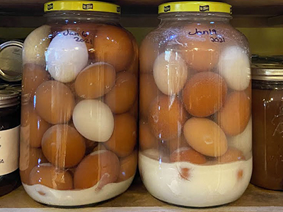 How to Preserve Your Fresh Eggs for Long-Term Storage