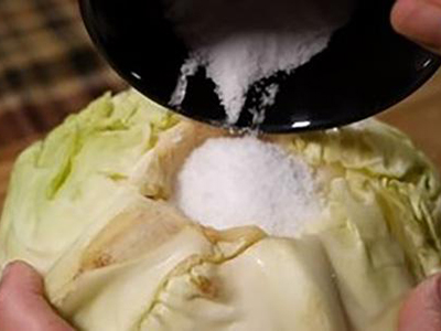 What Happens If You Pour Salt Into a Cabbage?