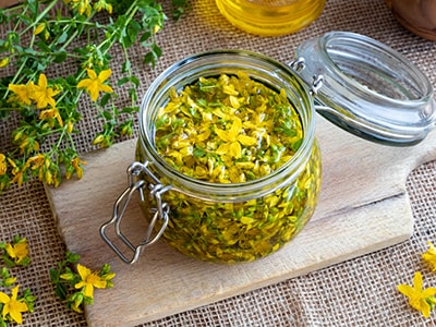 Ease Sciatic Nerve Pain With These Plants - st. johns wort