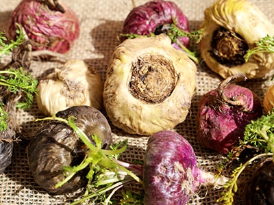 Herbs That Reduce Cortisol, The Stress Hormone - maca