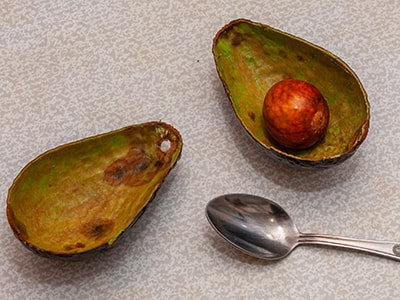 avocado peels and pits