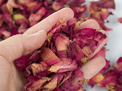 Homemade Whiskey Rose Tonic - dried rose petals in hand