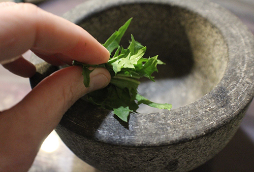 How to Make an Herbal Thyroid Poultice - mash leaves