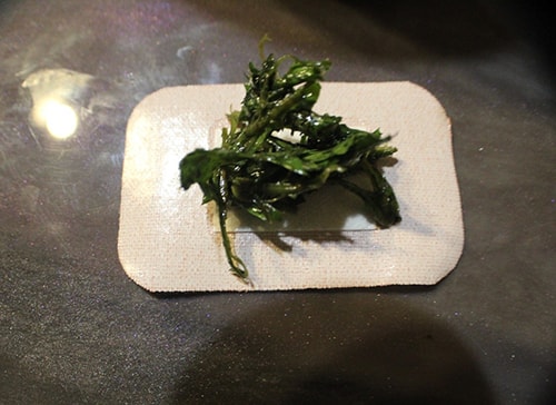 How to Make an Herbal Thyroid Poultice - put the mixture into a bandage