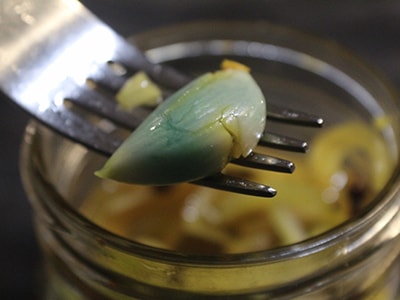 Medicinal Honey Garlic Pickles -blue garlic