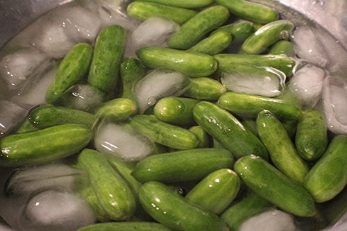 Medicinal Honey Garlic Pickles - firm up cucumbers