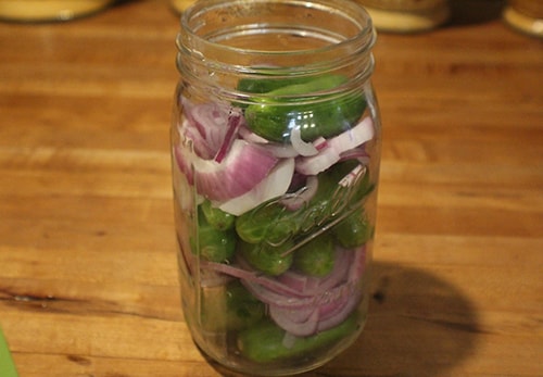 Medicinal Honey Garlic Pickles - lay in jar