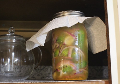 Medicinal Honey Garlic Pickles - put the jar in a cabinet