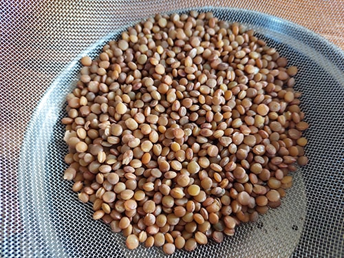 Remove Uric Acid Crystals with This Drink - soak lentils
