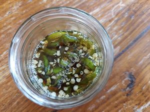 DIY Fermented Jalapeno Honey - The Lost Herbs