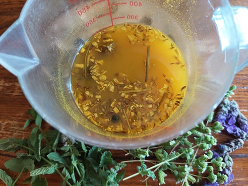 Herbal Anti-Bloating Shots - bring water to a boil