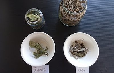 What Sage Does For Your Digestion - ingredients