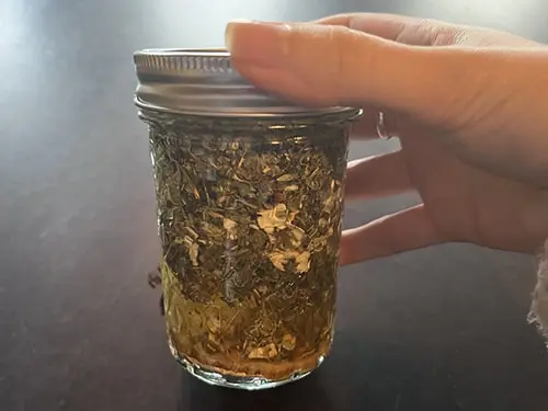 How to Stop Your Brain from Aging - The Lost Herbs