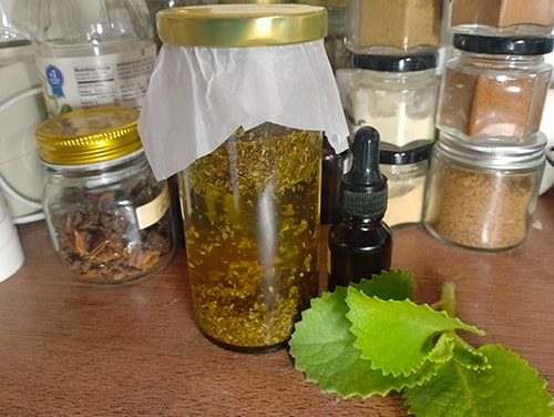 The Lung Tincture -infuse