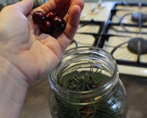Moms Fire Cider Recipe You’ll Need This for Winter -add cranberries