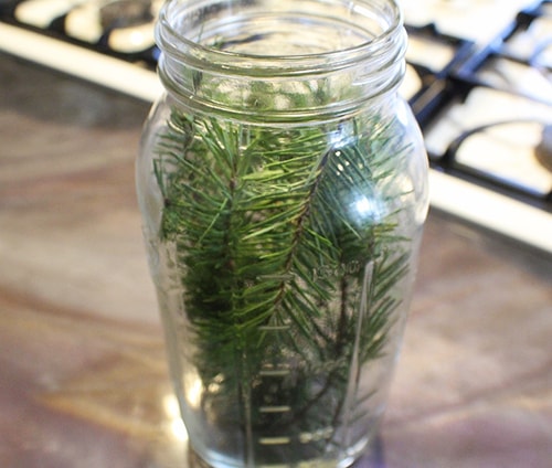 Moms Fire Cider Recipe You’ll Need This for Winter - arrange the pine needles