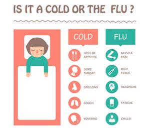 7 Signs It Could Be More Than a Cold - The Lost Herbs