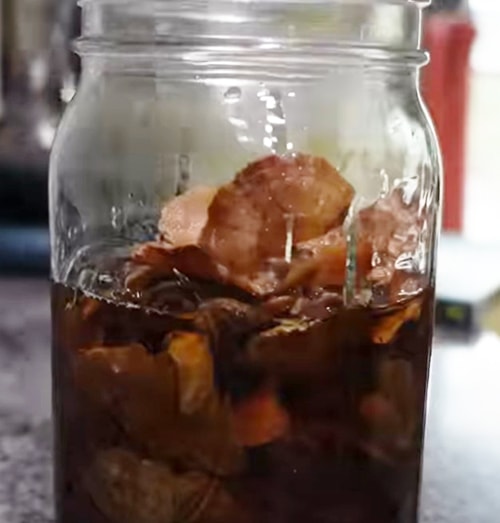 Boost Your Brain With This Mushroom - Scoop the mushrooms out of the cooker, liquid included, and into mason jars