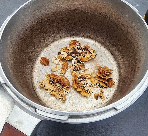 Boost Your Brain With This Mushroom -foraged mushrooms in pressure cooker