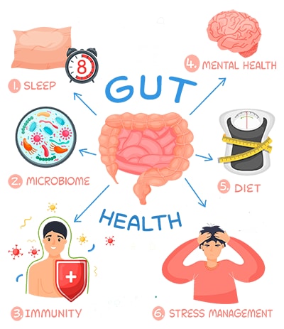 gut health cheat sheet