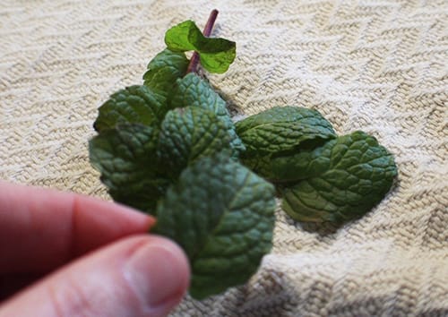 2-Ingredient Memory Booster- add the mint