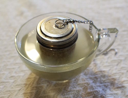 2-Ingredient Memory Booster- place the tea ball in a cup