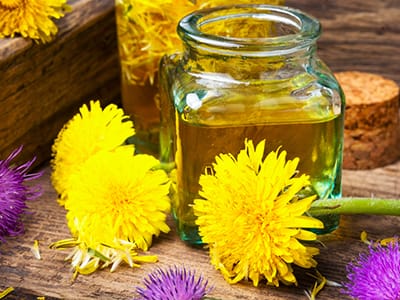 You Asked, I Listened Best Practices for Natural Detoxification- dandelion and milk thistle tincture