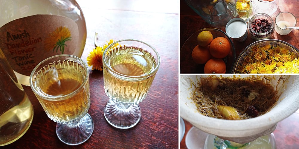 Homemade Amish Dandelion Wine - The Lost Herbs