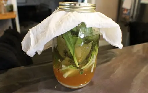 DIY Anti-Inflammatory Ramp Vinegar - The Lost Herbs