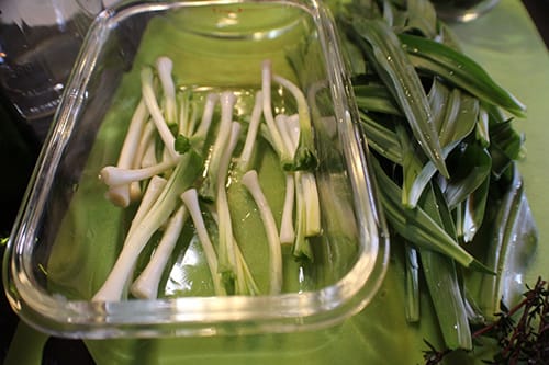 DIY Anti-Inflammatory Ramp Vinegar- separate the bulbs from the greens