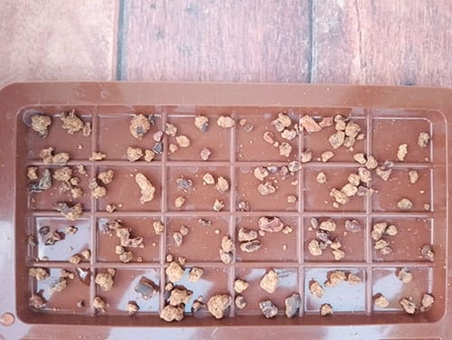 I Bet You Didn’t Know This about Chocolate- put the cacao nibs